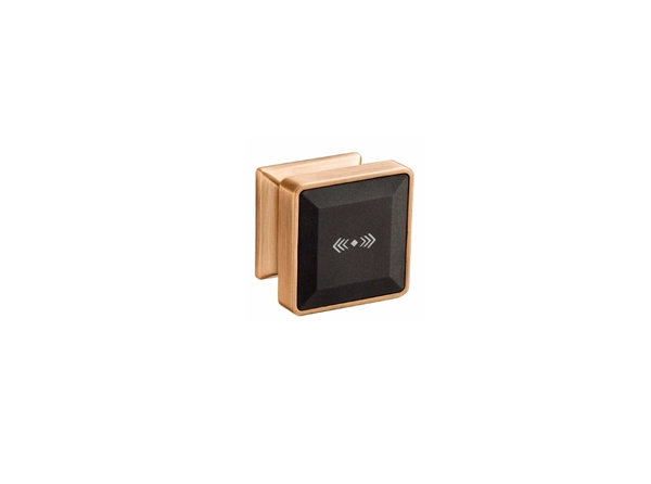 SP2200 Electric RF Card locker Lock